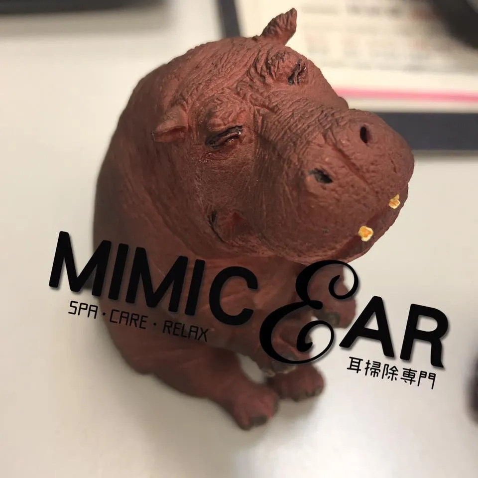 第一次被放鳥